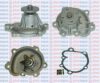 AQUAPLUS 85-2190 Water Pump